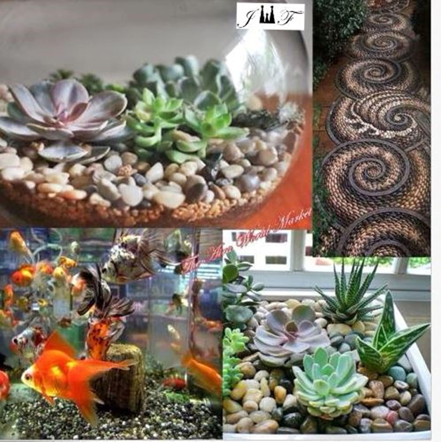 2 Pounds River Rock Stones - Natural Polished, Pebbles, Outdoor Decorative Stones, Natural Gravel, For Aquariums, Landscaping, Vase Fillers, Succulent, Tillandsia, Cactus pot, Terrarium Plants : Garden & Outdoor