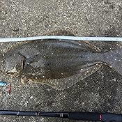 カスタマー画像