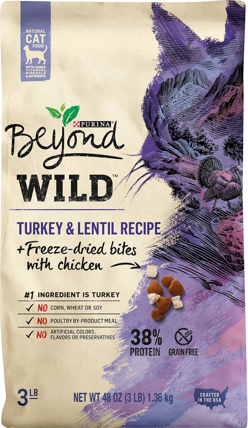 will spaying my border collie calm her down