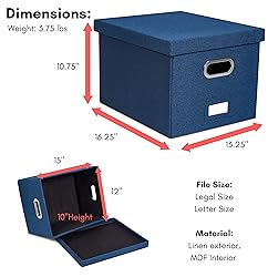 Internet's Best Collapsible File Storage Organizer