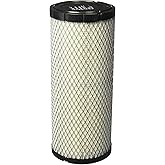 Donaldson P822768 Radial Seal Air Filter, Primary Type