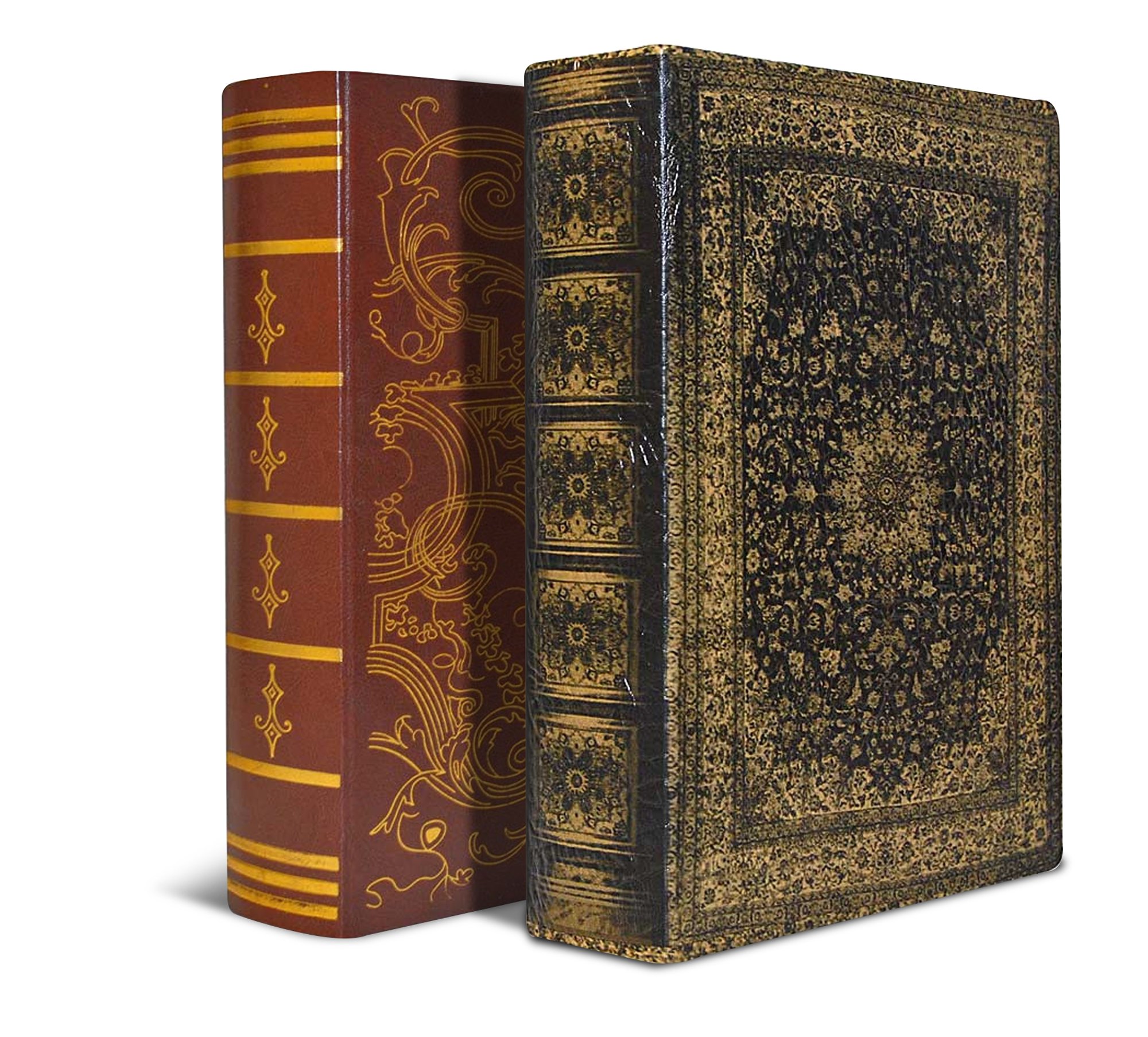 https://images-na.ssl-images-amazon.com/images/I/91GOyAxE-FL.jpg