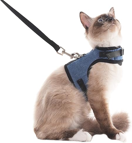 secure cat harness