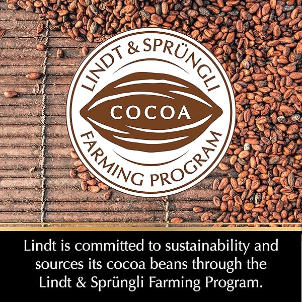 LINDT EXCELLENCE 90% COCOA DARK CHOCOLATE BAR, DARK CHOCOLATE CANDY, 3.5 OUNCE