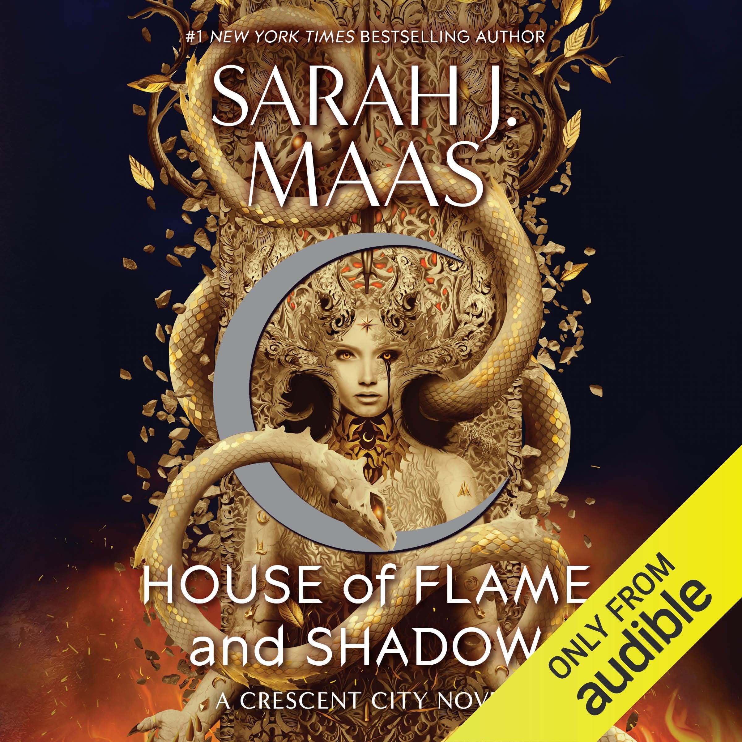 House of Flame and Shadow Image