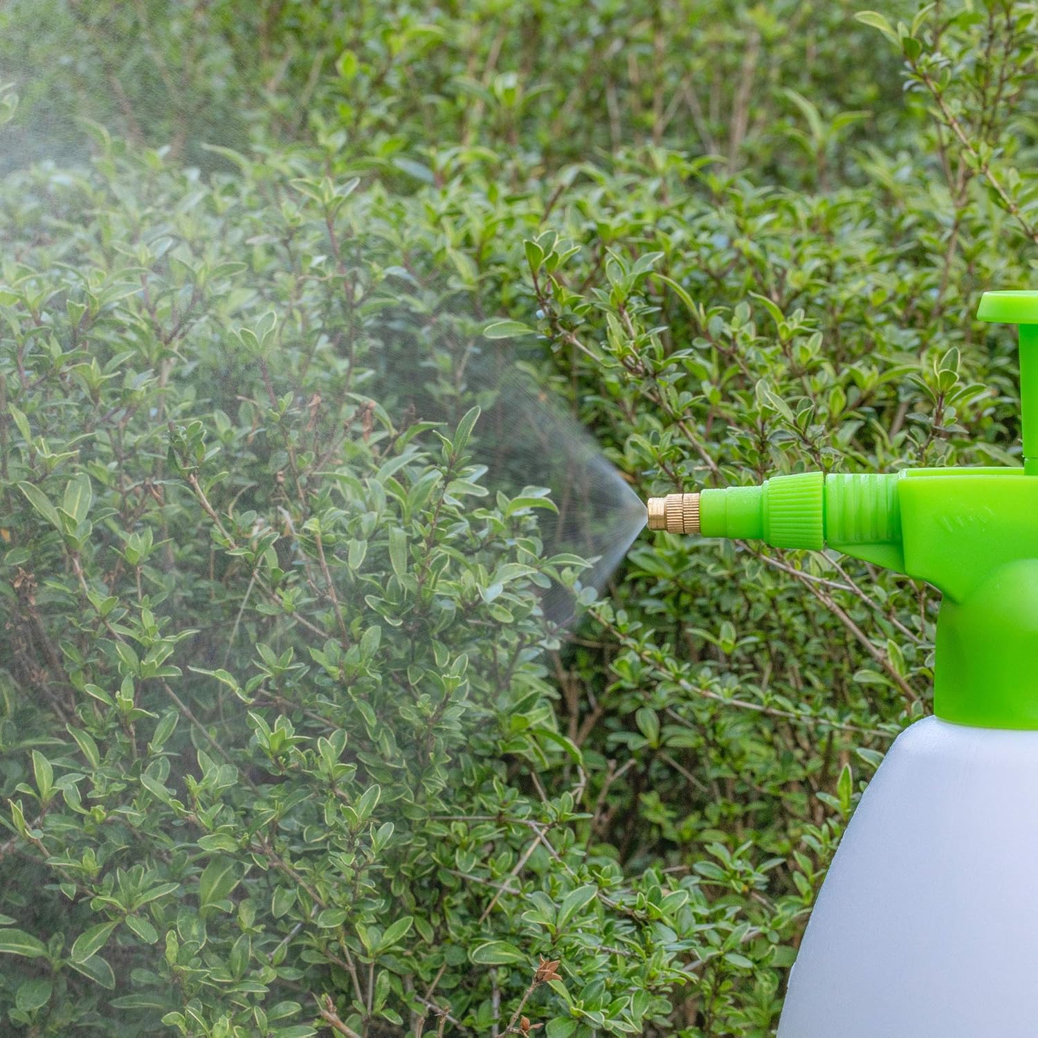 Nicely Neat Water Mister Spray Bottle Mr. Mister Garden, 2Liter