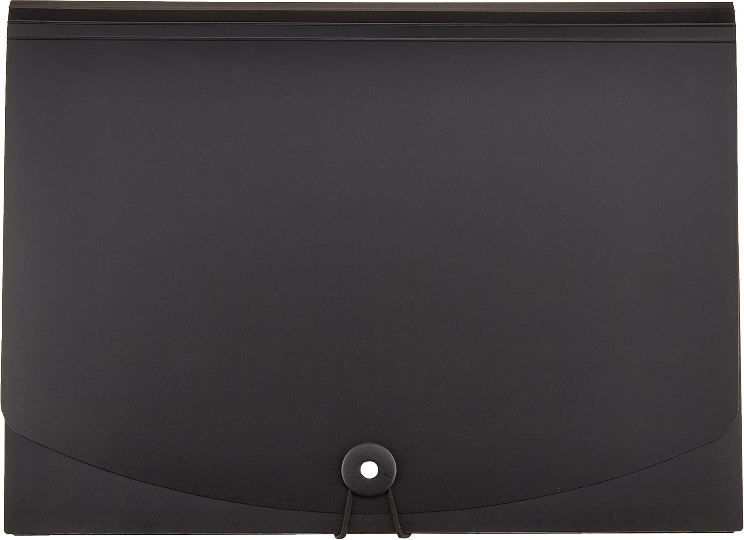 Basics Expanding Organizer File Folder, Letter Size - Black : Office Products