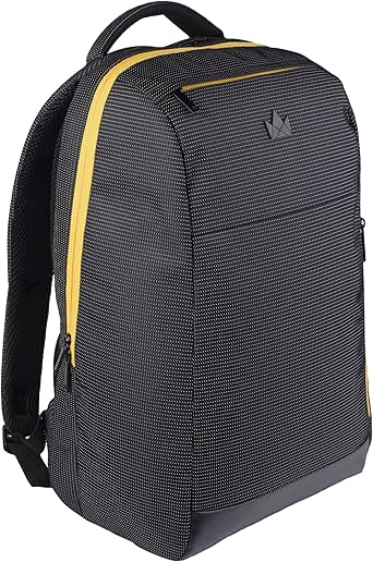 Amazon.com: Lightweight Business Backpack, 15.6" Laptop ...