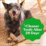 Greenies Original Large Dog Natural Dental Treats 18 oz 12 Count view 3