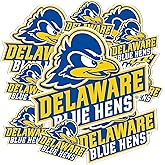 Desert Cactus University of Delaware Sticker Fightin Blue Hens UD Vinyl Decals Laptop Water Bottle Car Scrapbook T3 (Type 3-1)