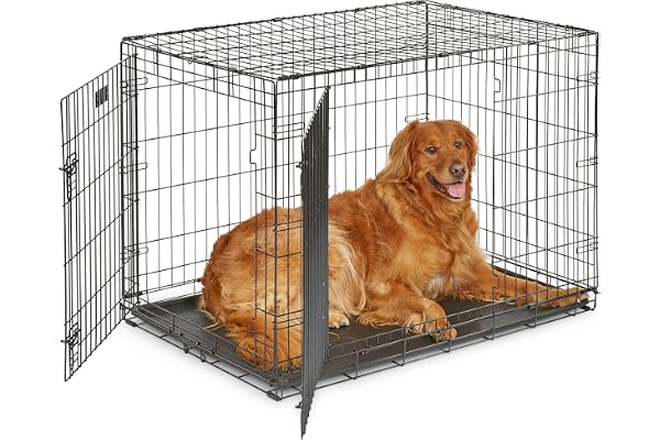 MidWest Homes for Pets 42-Inch iCrate for Large Breeds, 71-90 lbs, Double Door Folding Dog Crate with Divider Panel, Leak-Pro