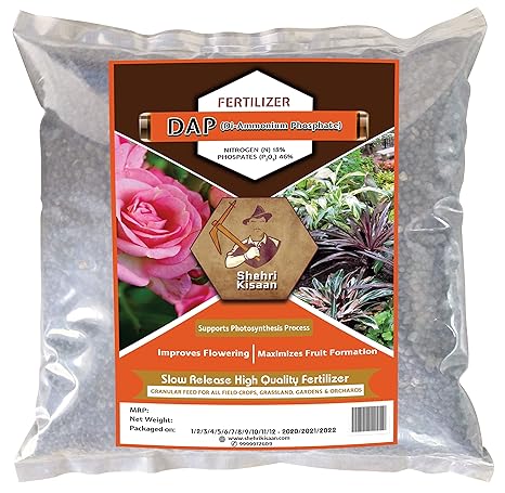 shehri kissan the urban farmers dap 5 kg di ammonium phosphate plant nutrient plant food dap fertilizers for plants fertilizer for rose flower flowering plants amazon in garden outdoors
