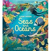 Look Inside Seas and Oceans: A Usborne Flap Book About Coral Reefs and Ocean Life for Children (Ages 5-8)