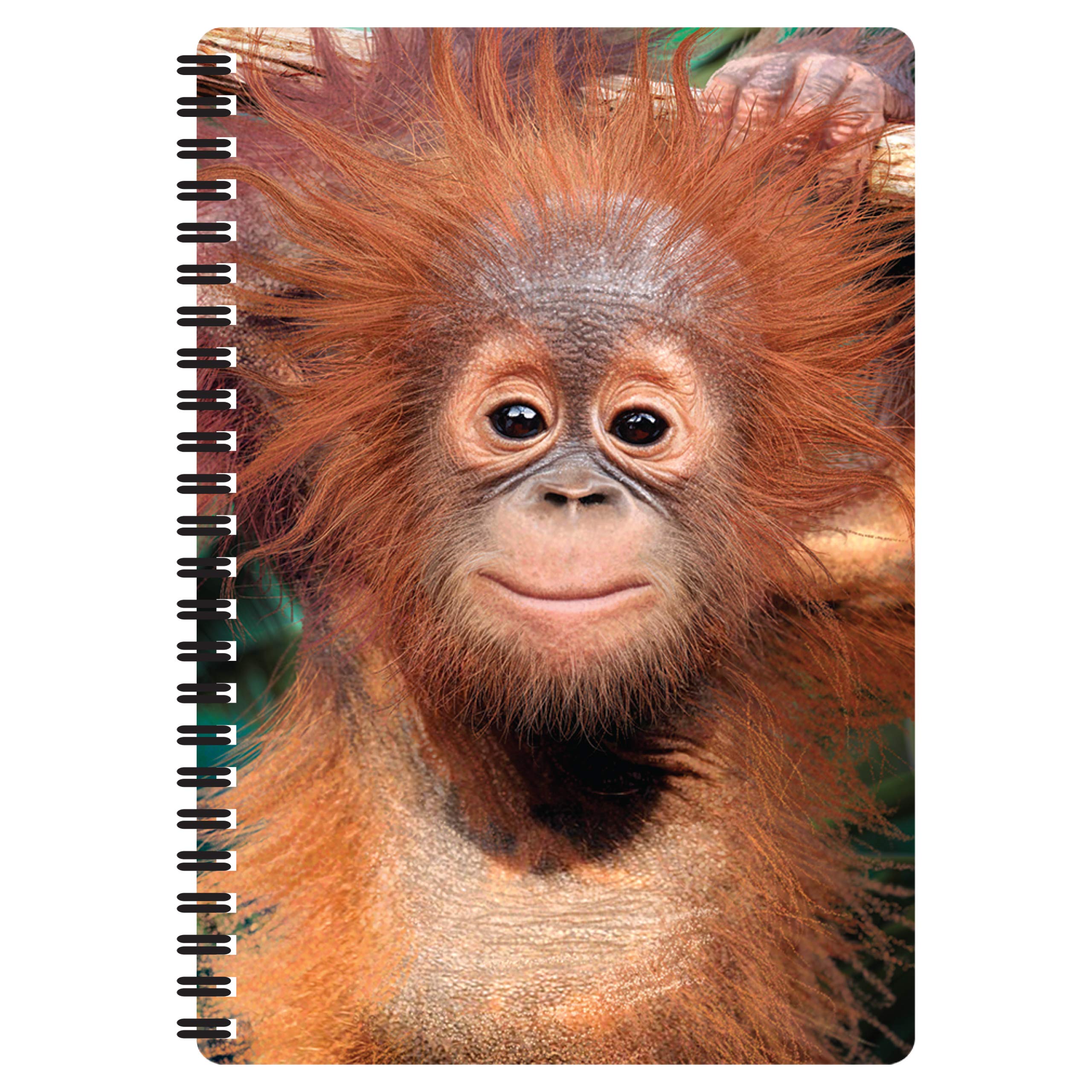 3D LiveLife A5 Notebook - Baby Orangutan from Deluxebase. Spiral Bound Lined Notebook with 80 Recycled Pages, 3D Orangutan Art Notebook for Work, Gifts and School Supplies, (21 x 14.5 cm).