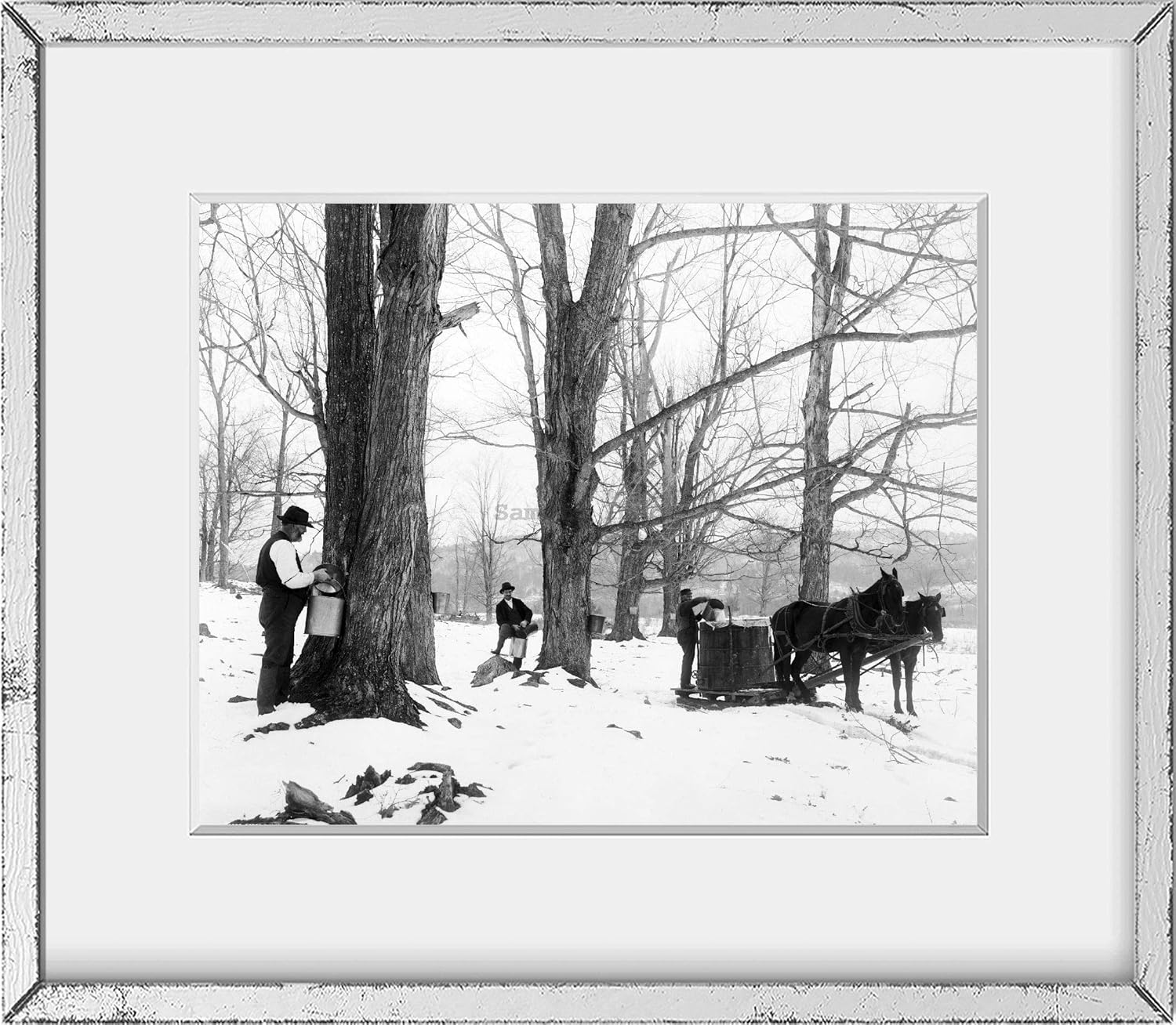 Photographs - INFINITE PHOTOGRAPHS 1900 and 1906|Mt. Beacon, Fishkill-on-Hudson, N.Y.|Photographic Subjects: Sugar maple tapping. Snow. Sleds & sleighs. United States-Vermont.