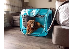 Bark Brite Pop Open Collapsible Travel Crate in 2 Sizes (Extra Large)