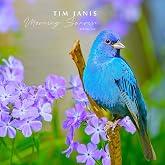 Tim Janis Morning Sunrise Volume One - Relaxing Music Traditional Instrumental Hymns Sounds for Relaxation, Stress Relief, and Meditation - Soothing Piano Calming Music Audio Tim Janis
