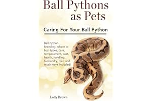 Ball Pythons as Pets: Ball Python breeding, where to buy, types, care, temperament, cost, health, handling, husbandry, diet, 