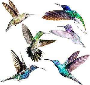 Amazon.com: Hummingbird Window Clings - Anti Collision ...