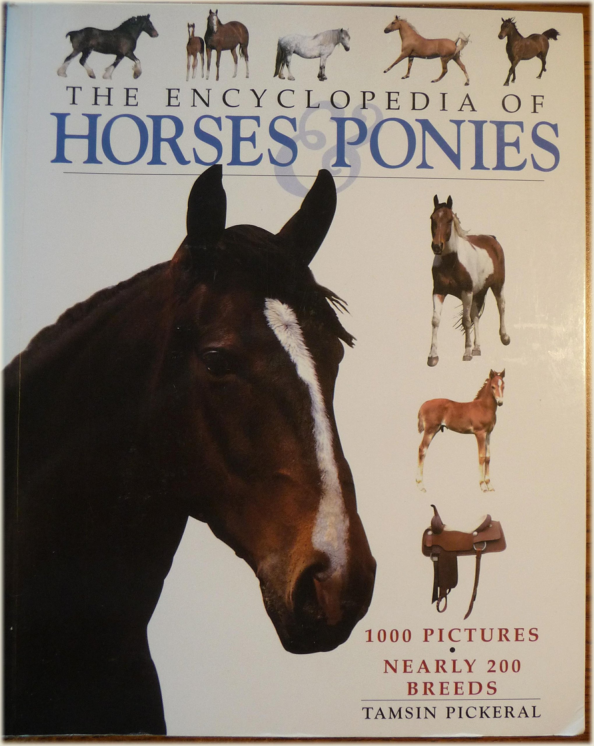 The Encyclopedia Of Horses Ponies Pickeral Tamsin 9780752565682 Amazon Com Books