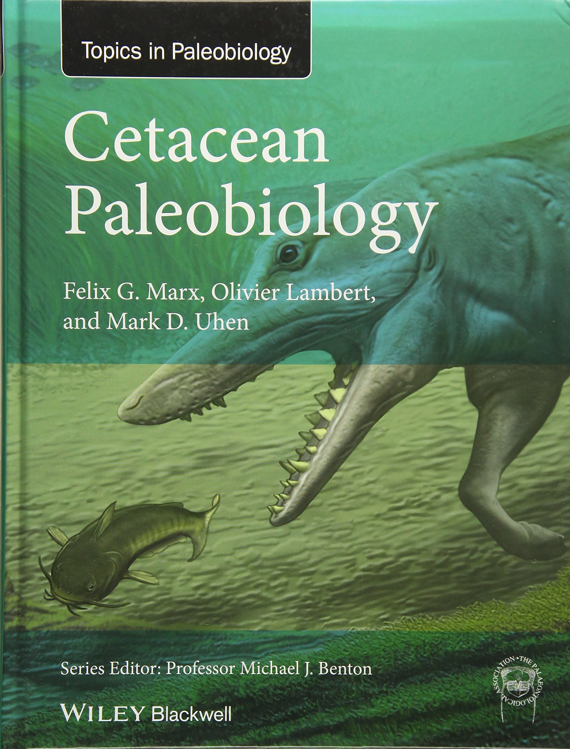 Cetacean Paleobiology Topa Topics In Paleobiology Amazon Co Uk Marx Felix G Lambert Olivier Uhen Mark D 9781118561270 Books