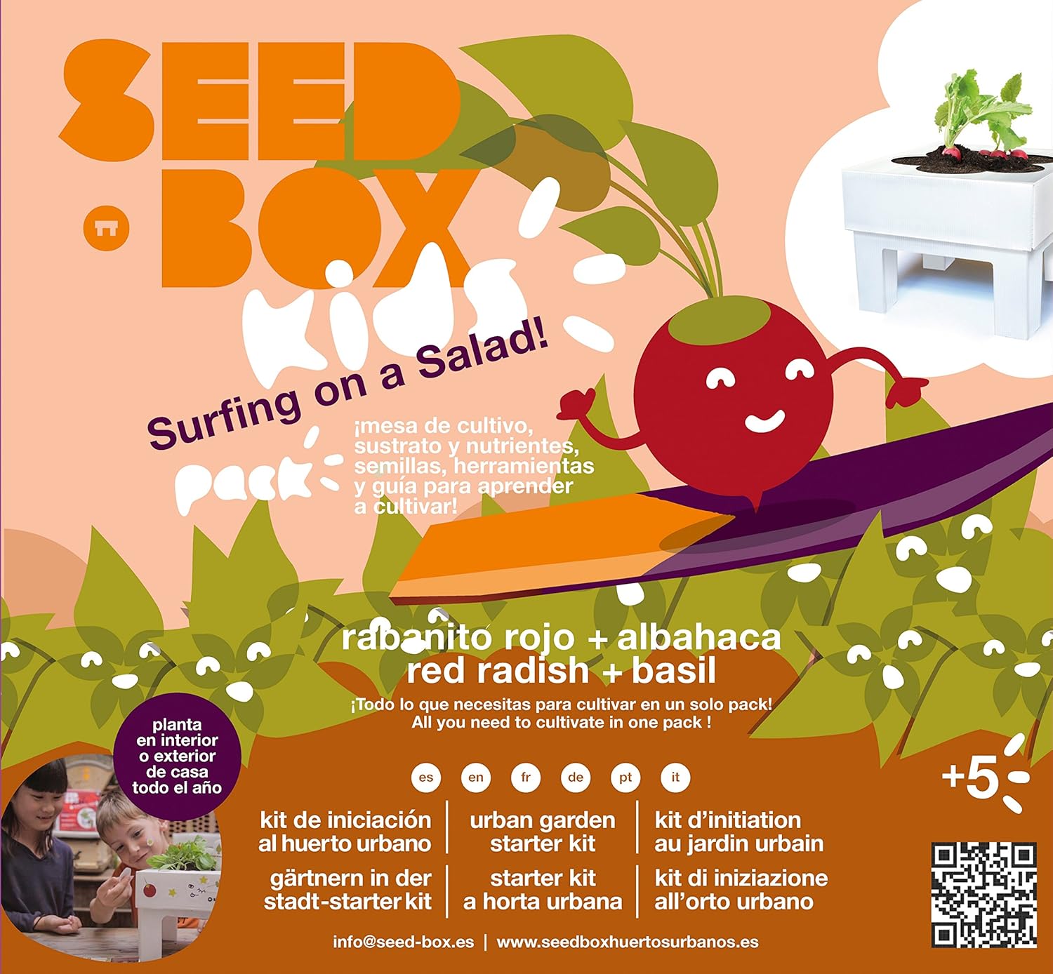 Seedbox Seed Box SBKSS - Salad, Verde, 19x6x19 cm: Amazon.es: Jardín