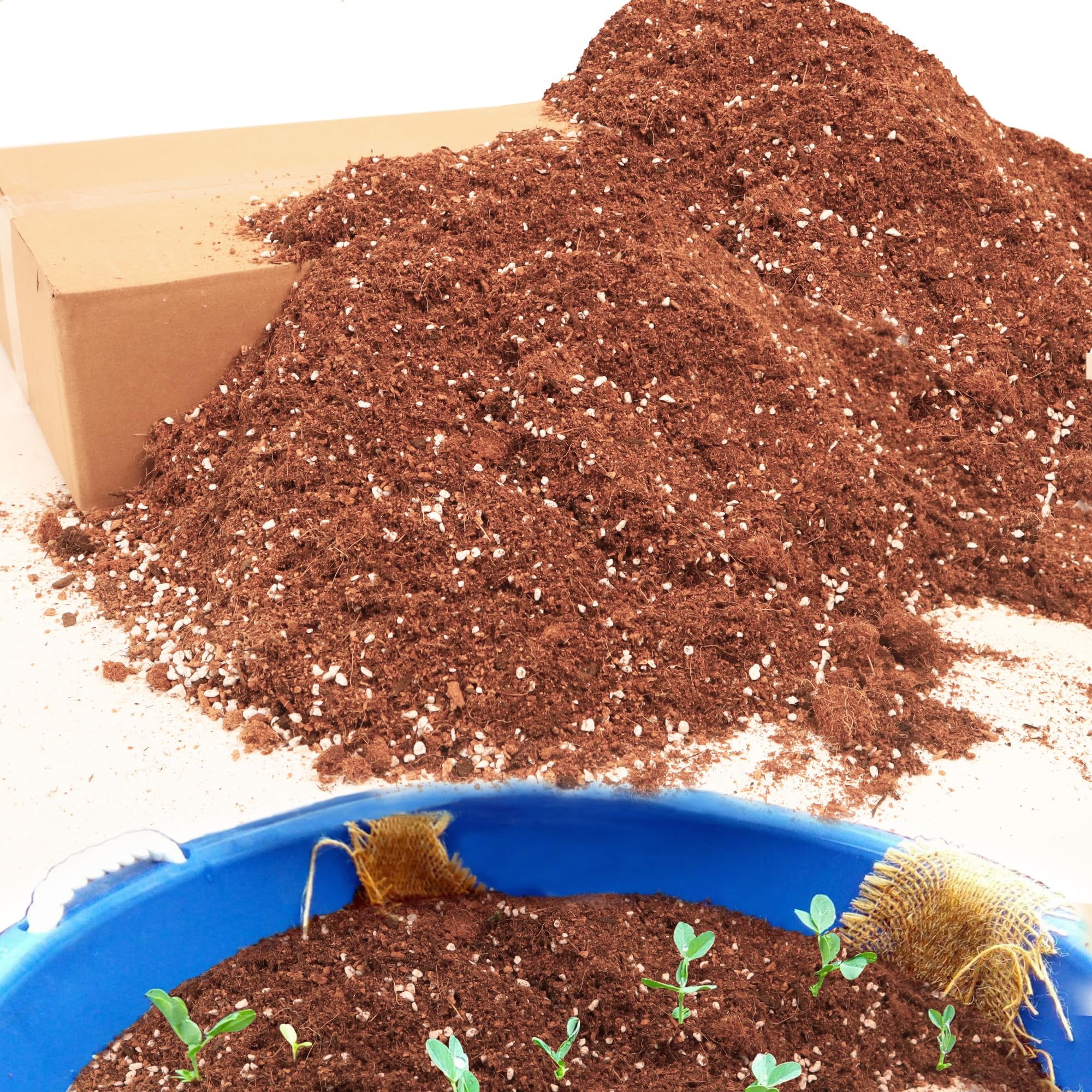 Photo 1 of 18QT Potting Soil Mix for Indoor Plants - Contains Perlite, Peat Moss, Coco Coir & Rice Charcoal, Natural & Organic Material with Well-Draining, Light & Aerated Texture for Healthy Roots & Fast Growth
