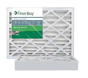 FilterBuy 17x25x4 MERV 13 Pleated AC Furnace Air Filter, (Pack of 2 Filters), 17x25x4 – Platinum