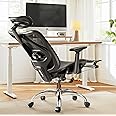 Ergonomic Office Chair, Comfort Mesh with Adjustable Lumbar Support, SGS Class 4 Gas Cylinder Certification Upgraded Black
