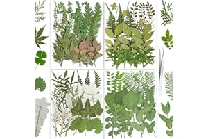 85PCS Real Dried Pressed Leaf Leaves, YouthBro Green Nature Plant Herbarium Set for DIY Jewelry Candle Soap Vase Making Nail Card Scrapbook Art Craft Floral Decors,28 Styles Green Mixed