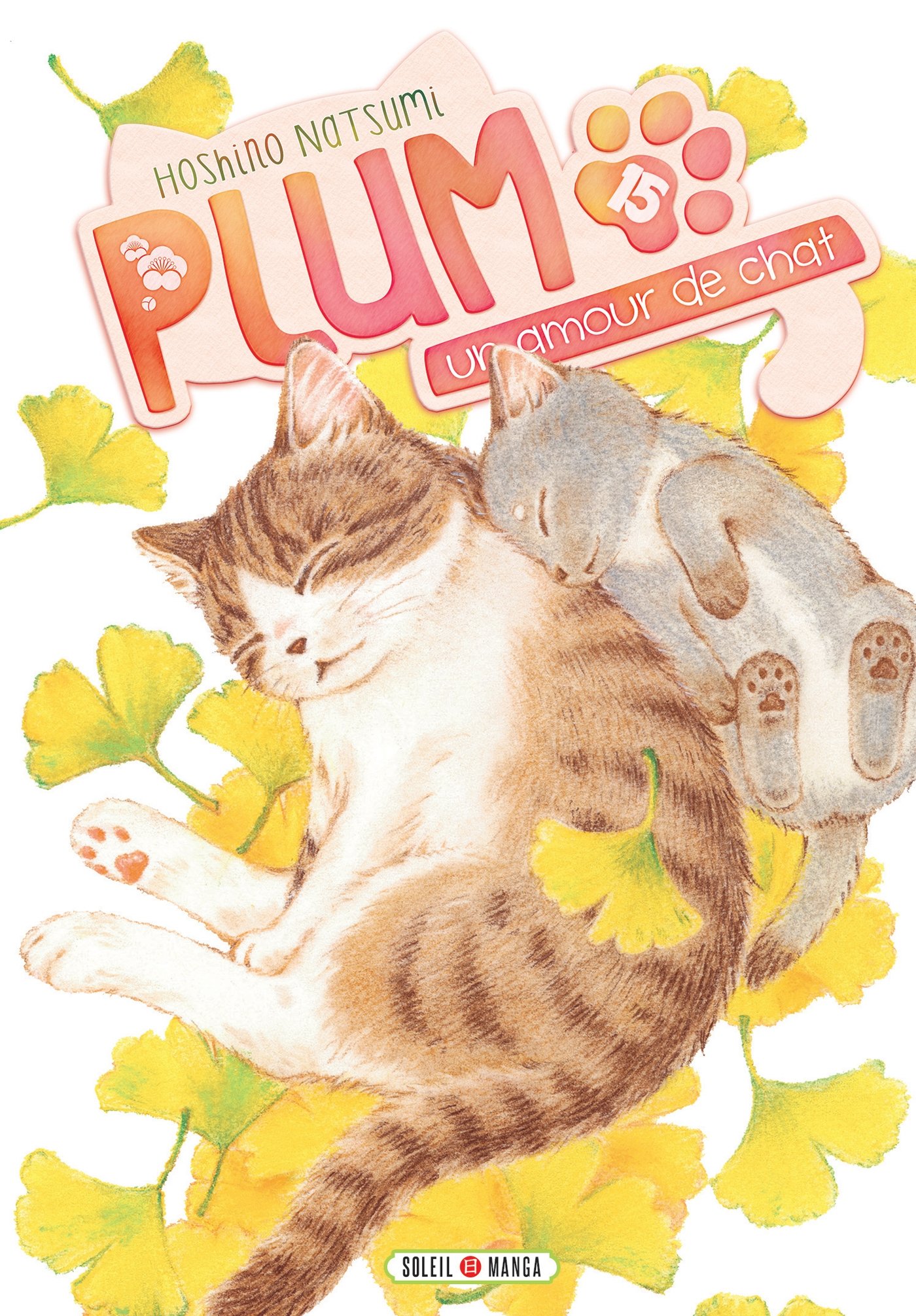 Plum Un Amour De Chat T15 Plum Un Amour De Chat 15 French Edition Hoshino Natsumi Amazon Com Books