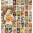 Jack Meets Kate Coquette Aesthetic Room Decor Collage Kit | Fairycore Cottagecore Room Decor Aesthetic for Teen Girls - 50 Pcs (4x6 inch)