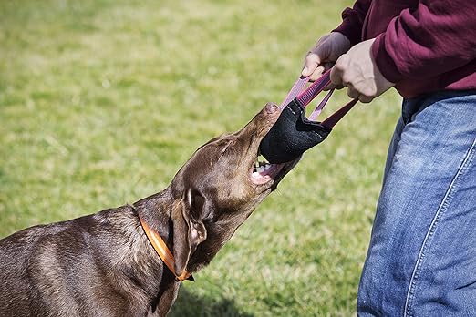 Julius K-9, Julius K9 Dummy de Piel para Perro, 25x5.5 cm, Colores ...