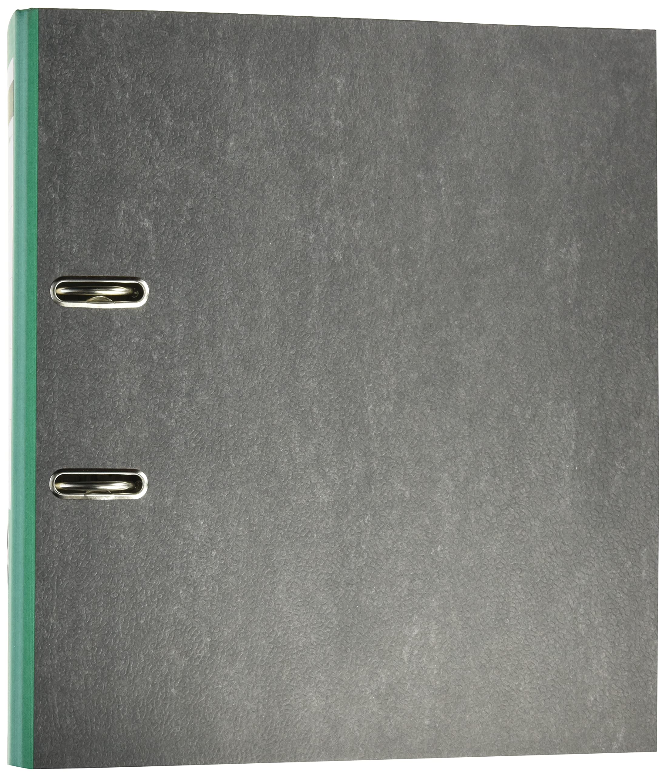 Centra 220124 Standard Folder with Coloured Spine with Slots A4 Wide Green