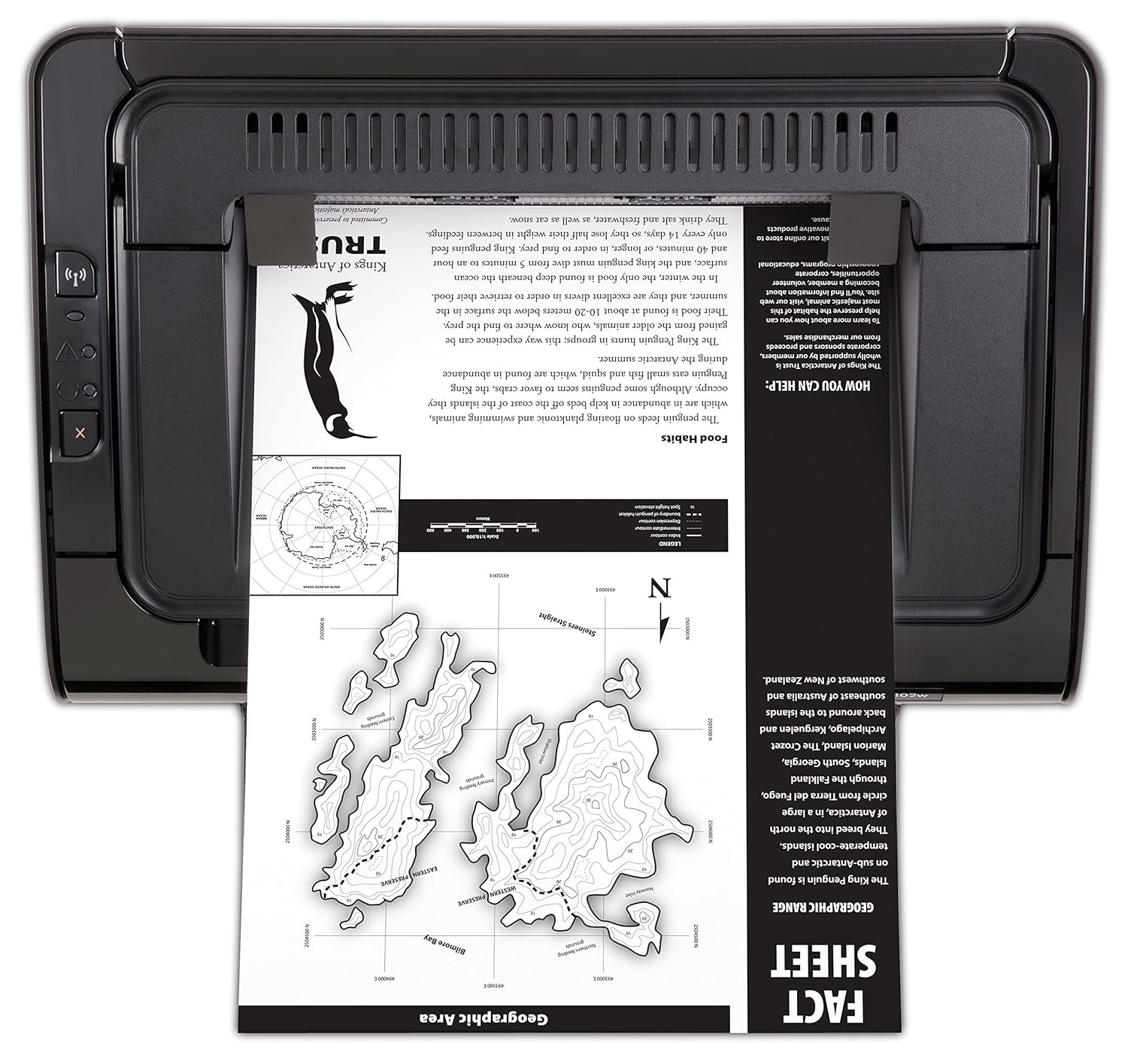 hp laserjet p1102w driver chromebook