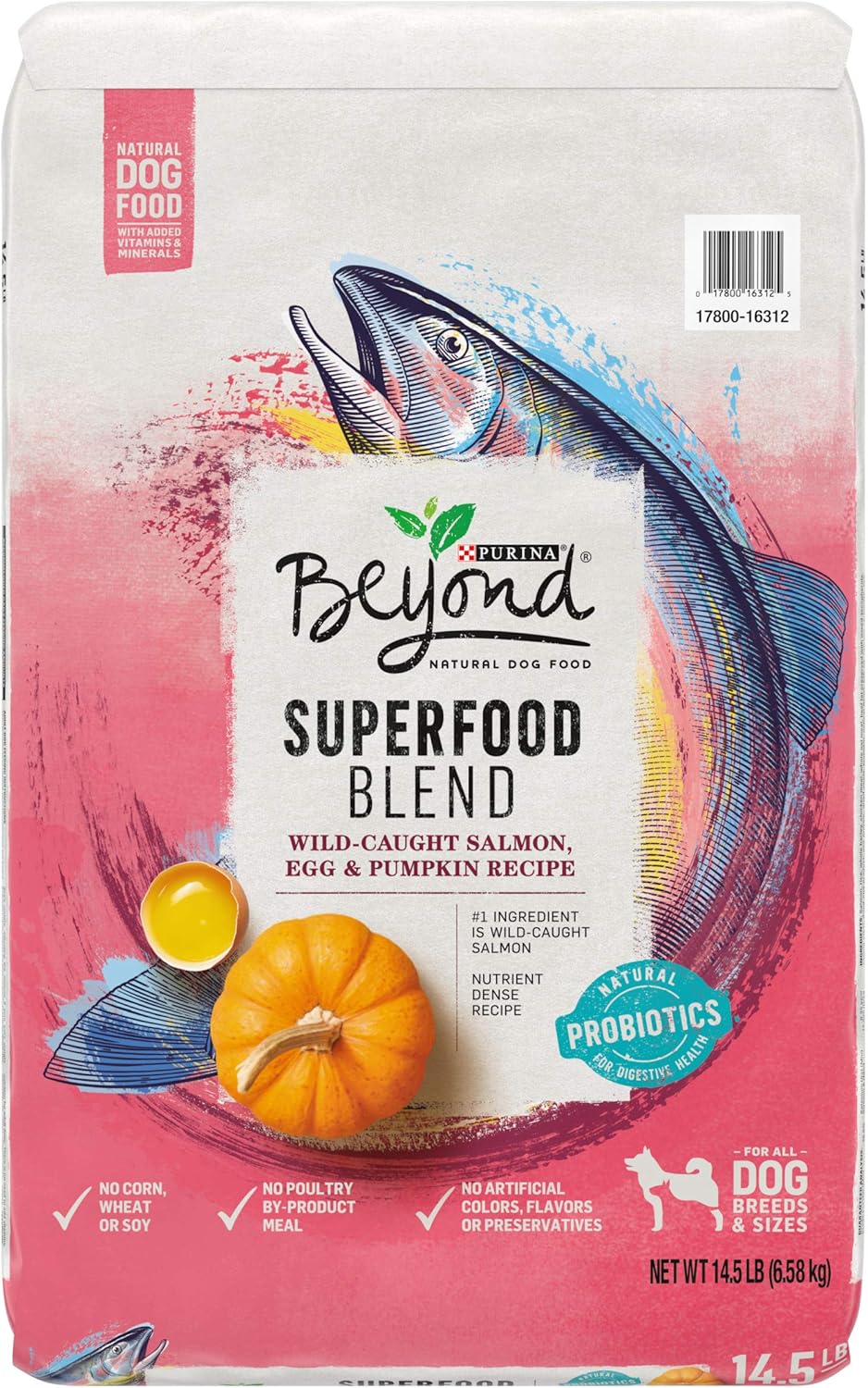 Purina Beyond Natural Dry Dog Food 