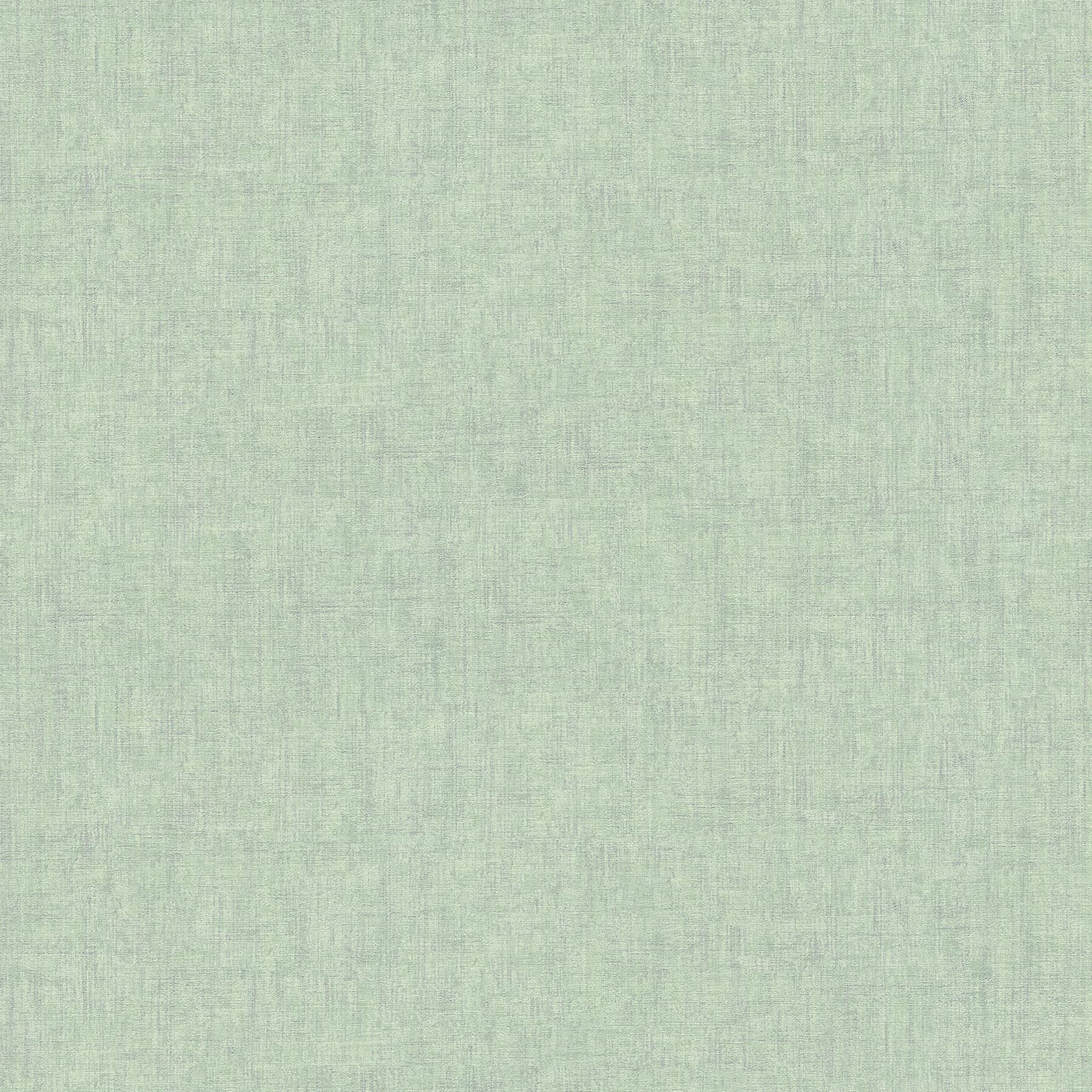 A.S. Création Non-Woven Wallpaper Greenery Plain Wallpaper 10.05 m x 0.53 m Green 322619 32261-9