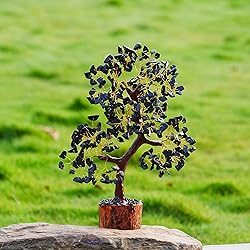 YUVDIPR Black Tourmaline Tree of Life of Life