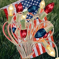 EST. LEE DISPLAY L D 1902 C9 Red, White, Blue