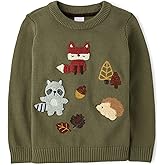 Gymboree Baby-Boys and Toddler Embroidered Pullover Sweater