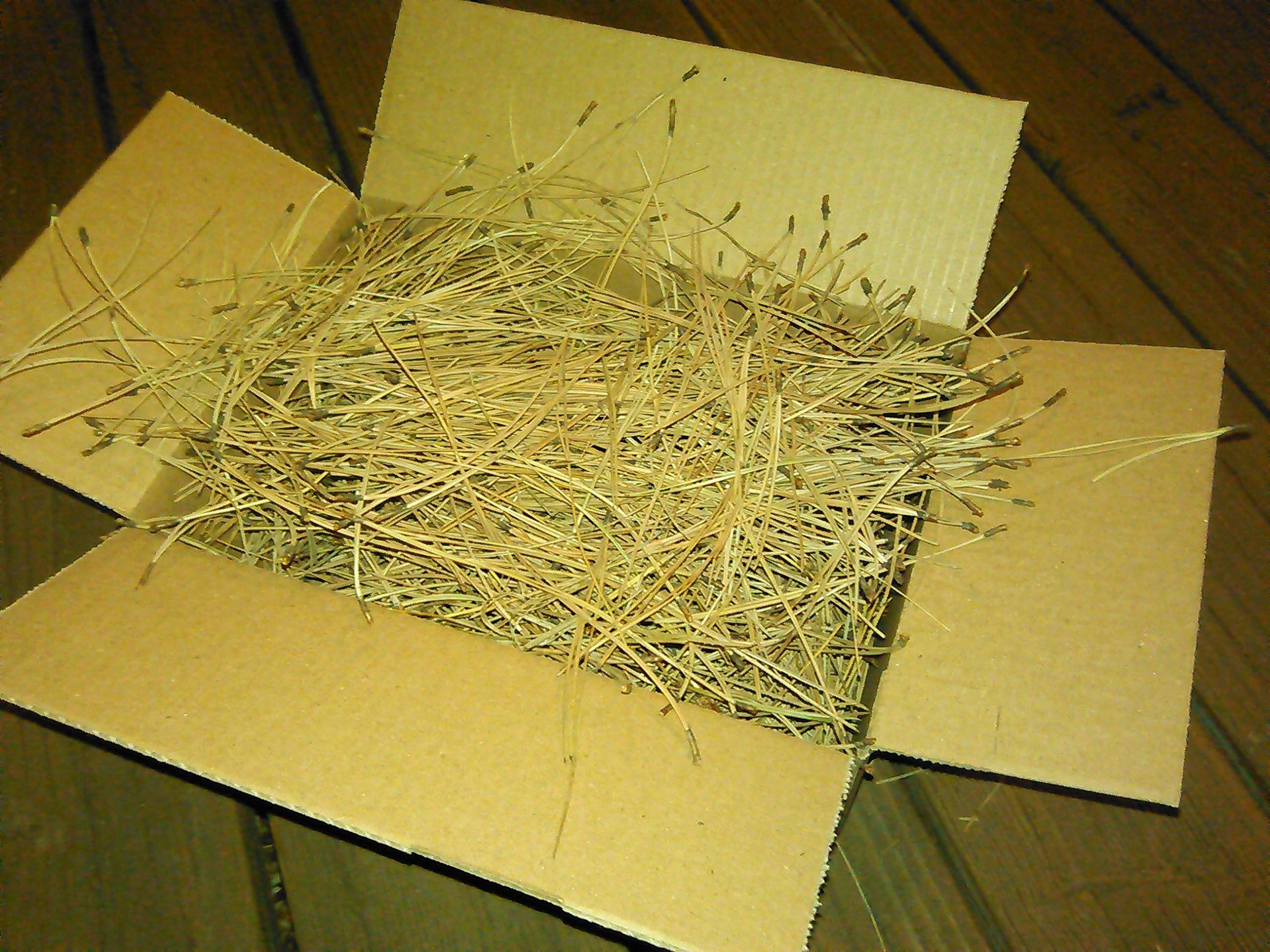 100% Natural Pine Needles (4 quart)