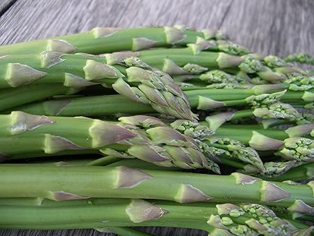 Go Green Asparagus Uc Series from USA -30 Seeds