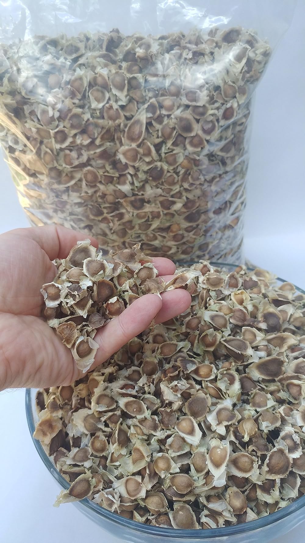 Raw Seeds Moringa Oleifera Seeds Pure Organic Non GMO 510 x