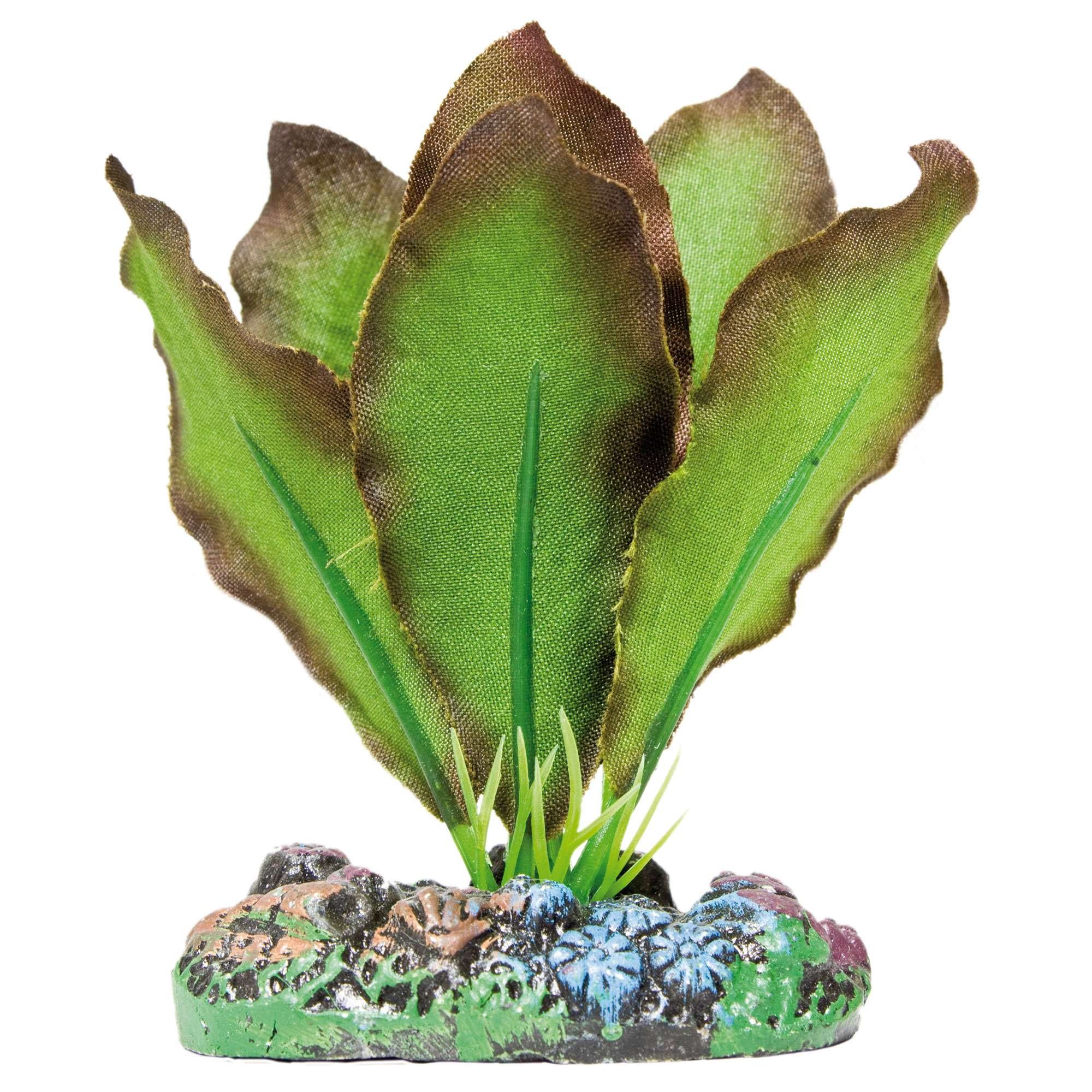ICA AP1102 Anubias by Aquatic Plants Silk