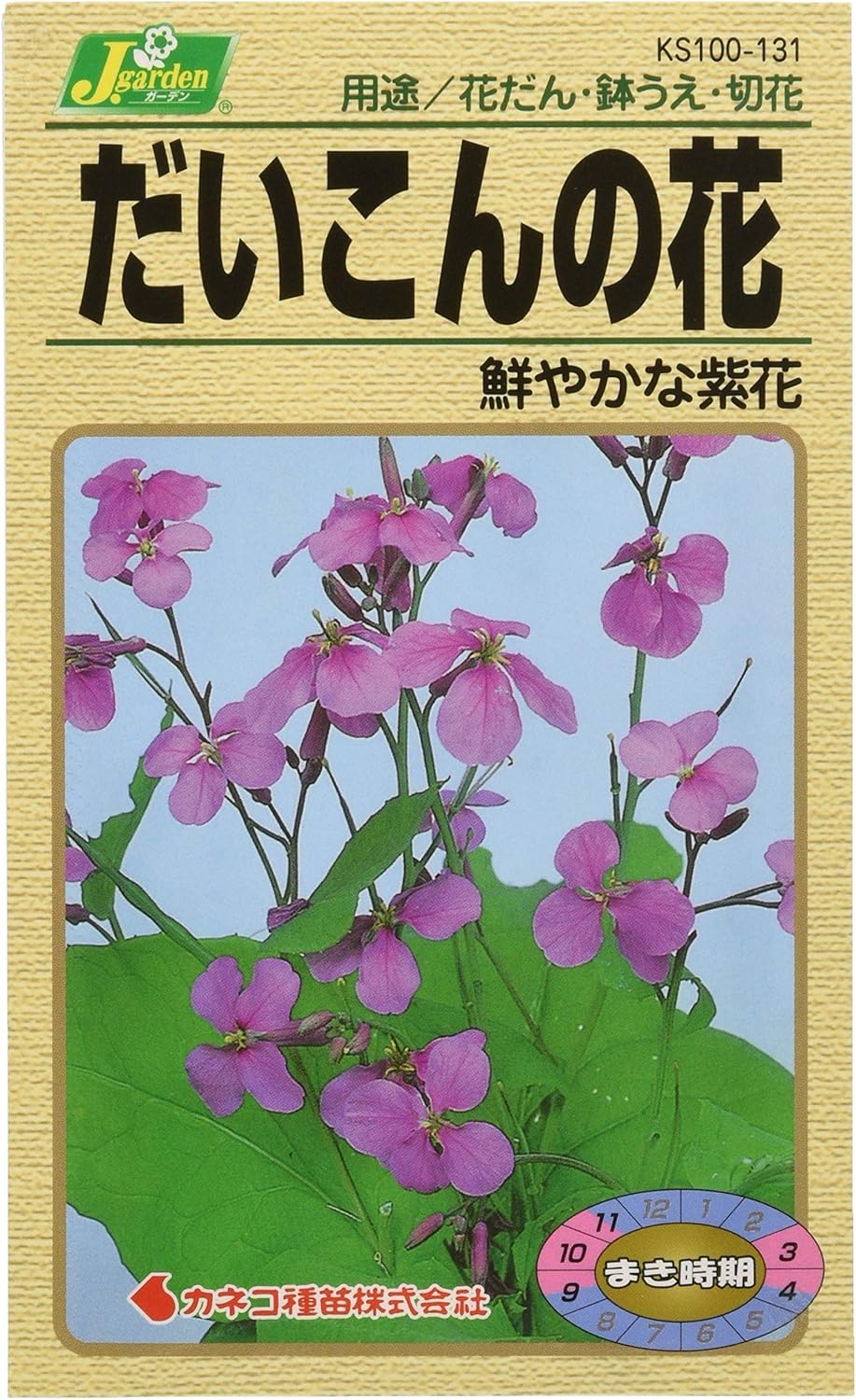 Amazon カネコ種苗 園芸 種 Ks100シリーズ だいこんの花 鮮やかな紫花 草花100 131 苗棚
