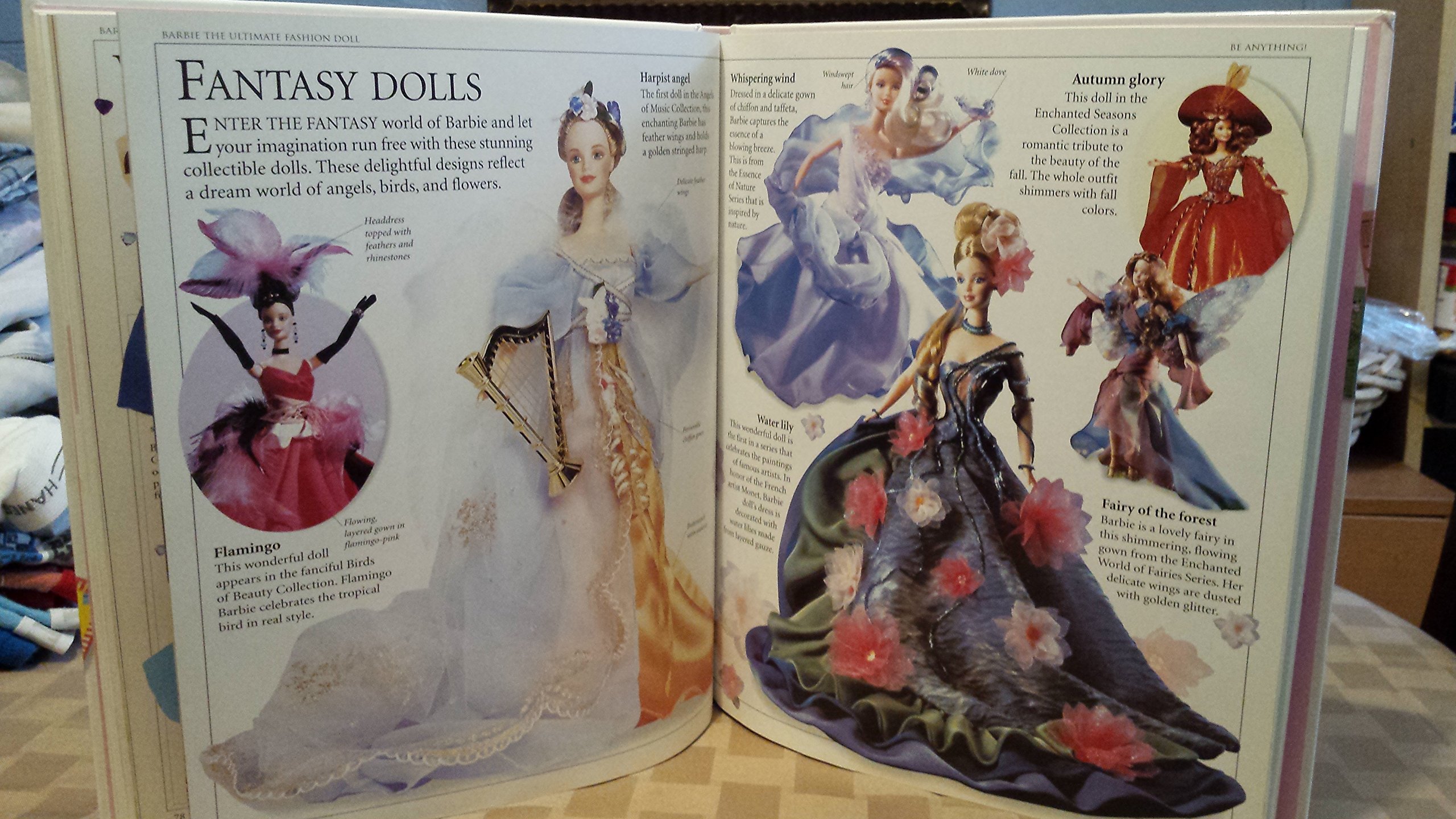 Mua Barbie: VISUAL GUIDE TO THE ULTIMATE FASHION DOLL trên Amazon Mỹ ...