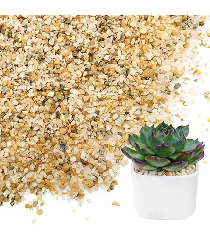 wild flower seeds near me Cut Flower Wildflower Mix - Bulk Seed main image 0