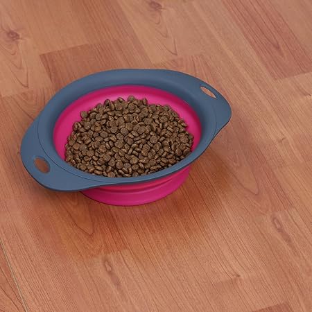 Buy Dexas Popware For Pets Single Bowl Collapsible Travel Feeder