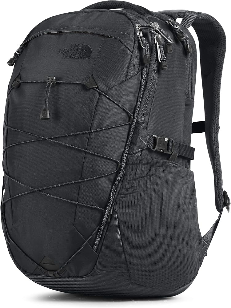 The North Face Borealis Laptop Backpack 