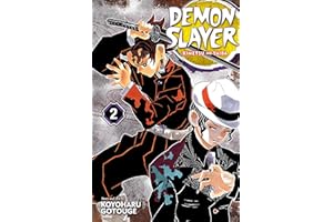 Demon Slayer: Kimetsu no Yaiba, Vol. 2: It Was You